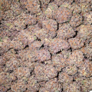 Gelato Runtz Popcorn - OZ (Copy)